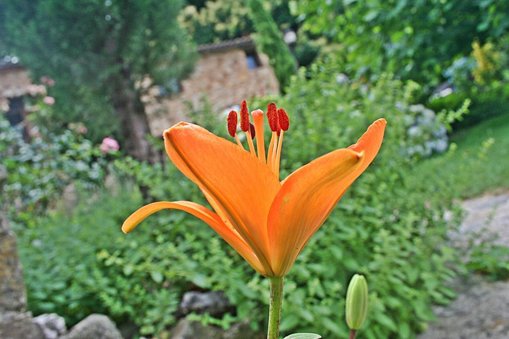 Finca El Carpintero Херте Екстериор снимка