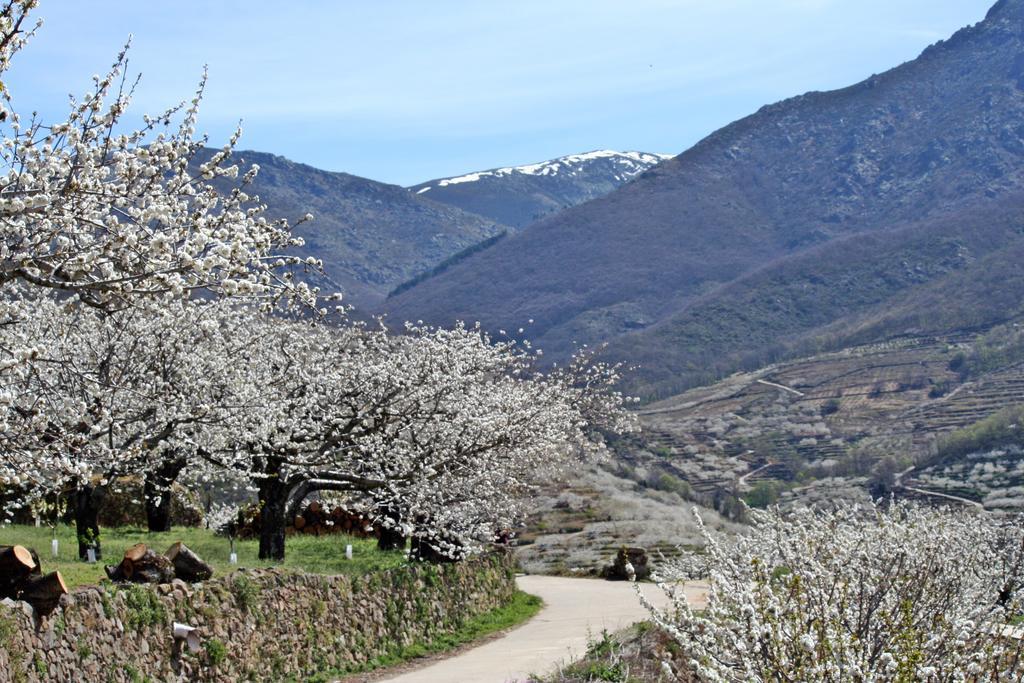 Finca El Carpintero Херте Екстериор снимка